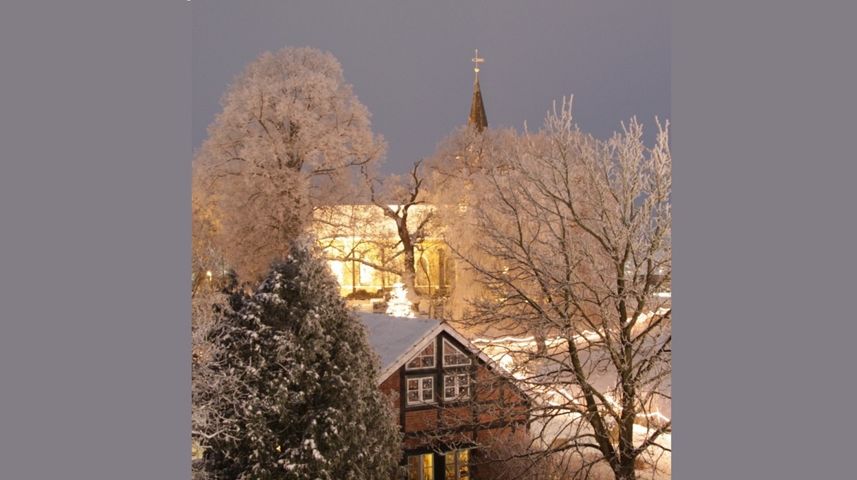Weihnachtsmarkt_Basthorst_Impression_11