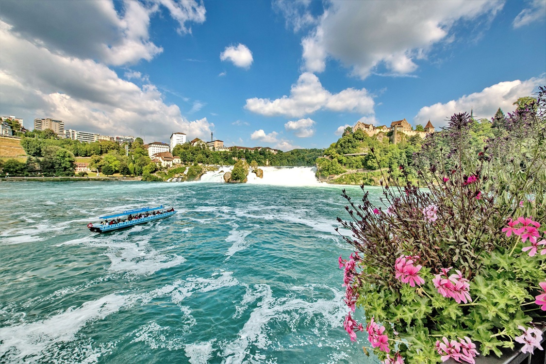 Rheinfall_Blumen_Boot_ Rheinfall_SchlossLaufen_Sommer