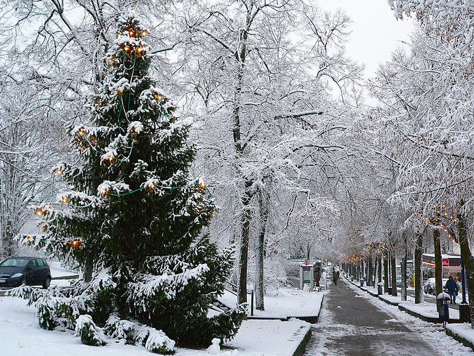 Bad_Wildungen_03_282802-23116-V0-P0