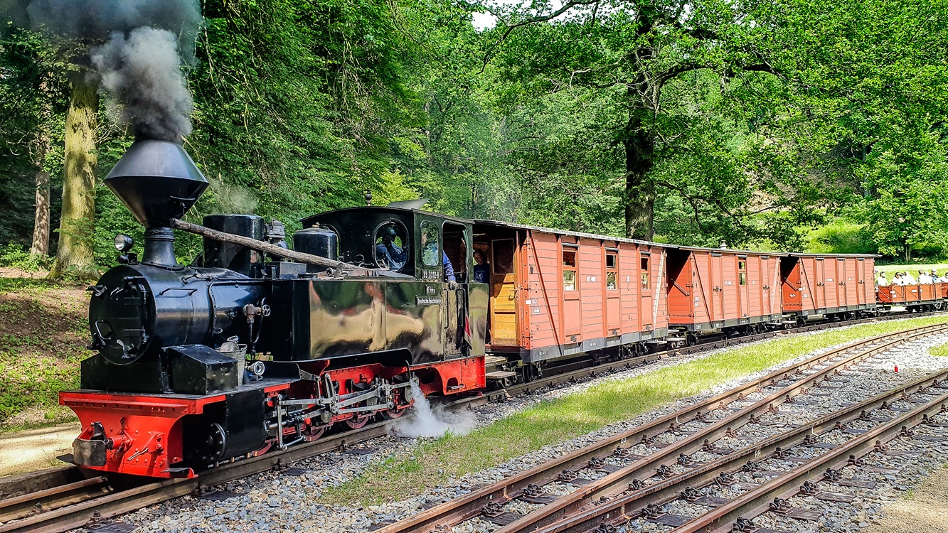 Bad_Muskau_Waldeisenbahn_c_TourismusMarketingGesellschaftSachsen