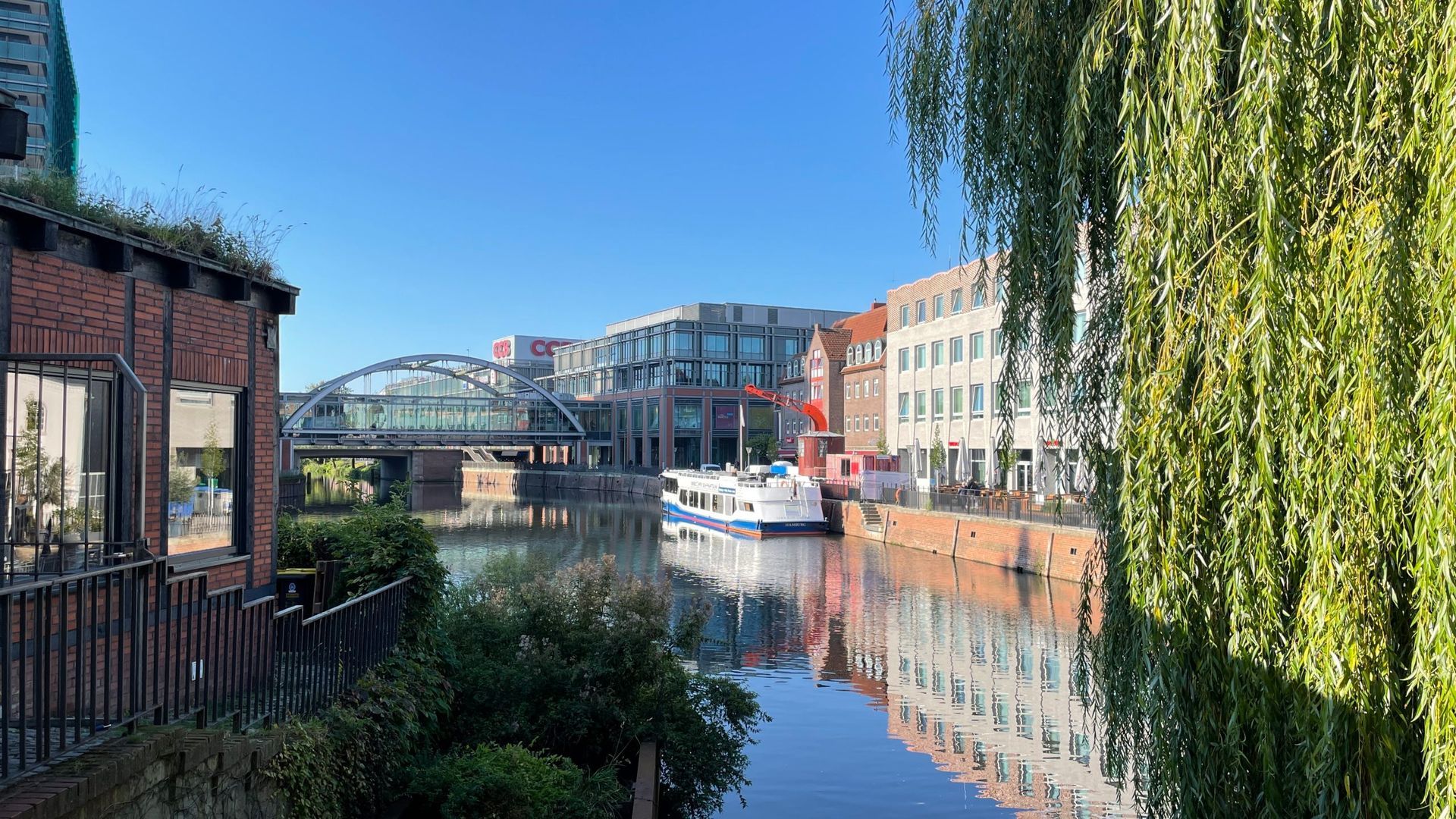 Serrahn-mit-Queen-2022-1-scaled