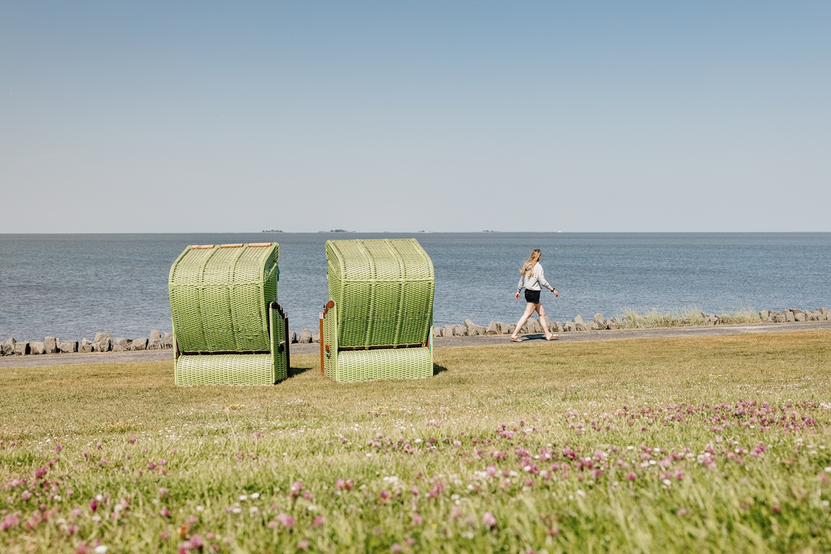 landschaft in Pellworm