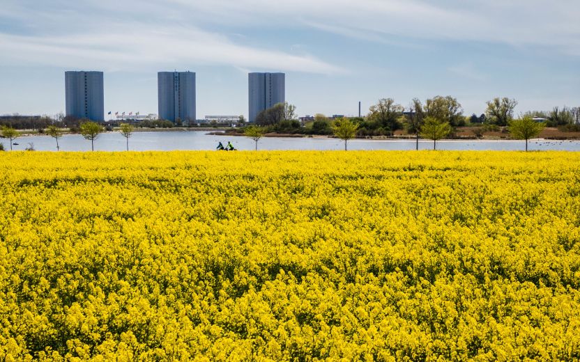 7730f36506d79e847431cd3617777375