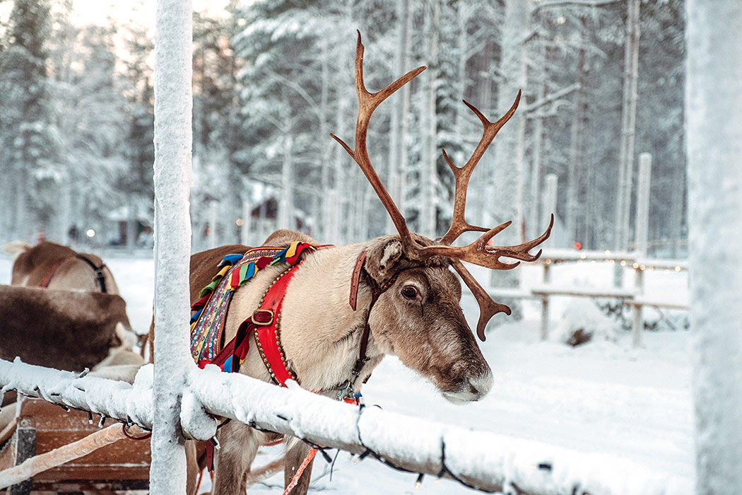 Finnland_04_1014889-931154-V1-P0